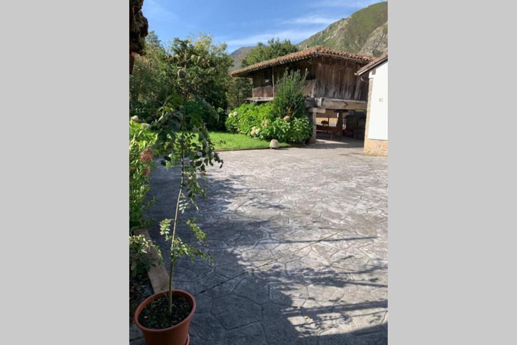 Casa Carmen Respira Asturias, Respira Naturaleza. Cano Екстер'єр фото